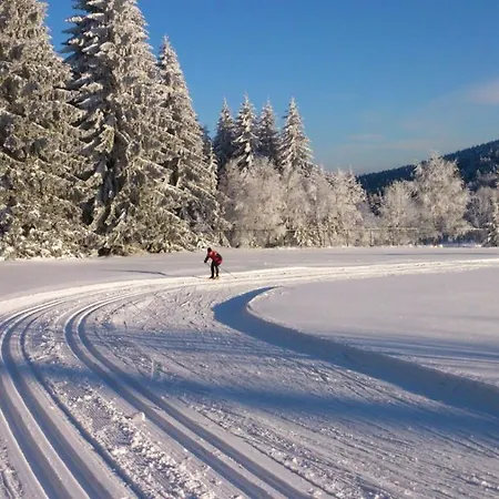 House Lipno-slupecna Villa Lipno nad Vltavou